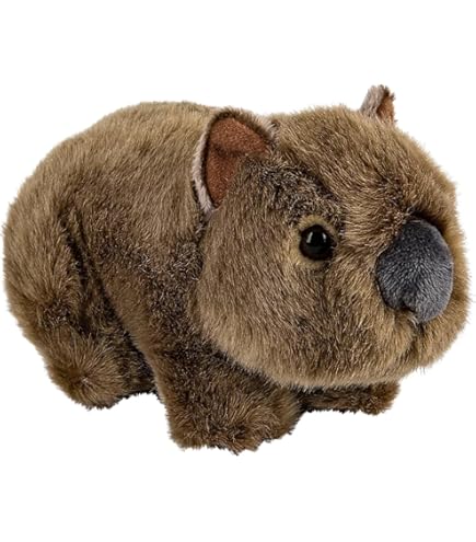 Amazon.com: Natural State Novelty Wally The Wise Wombat Stuffed